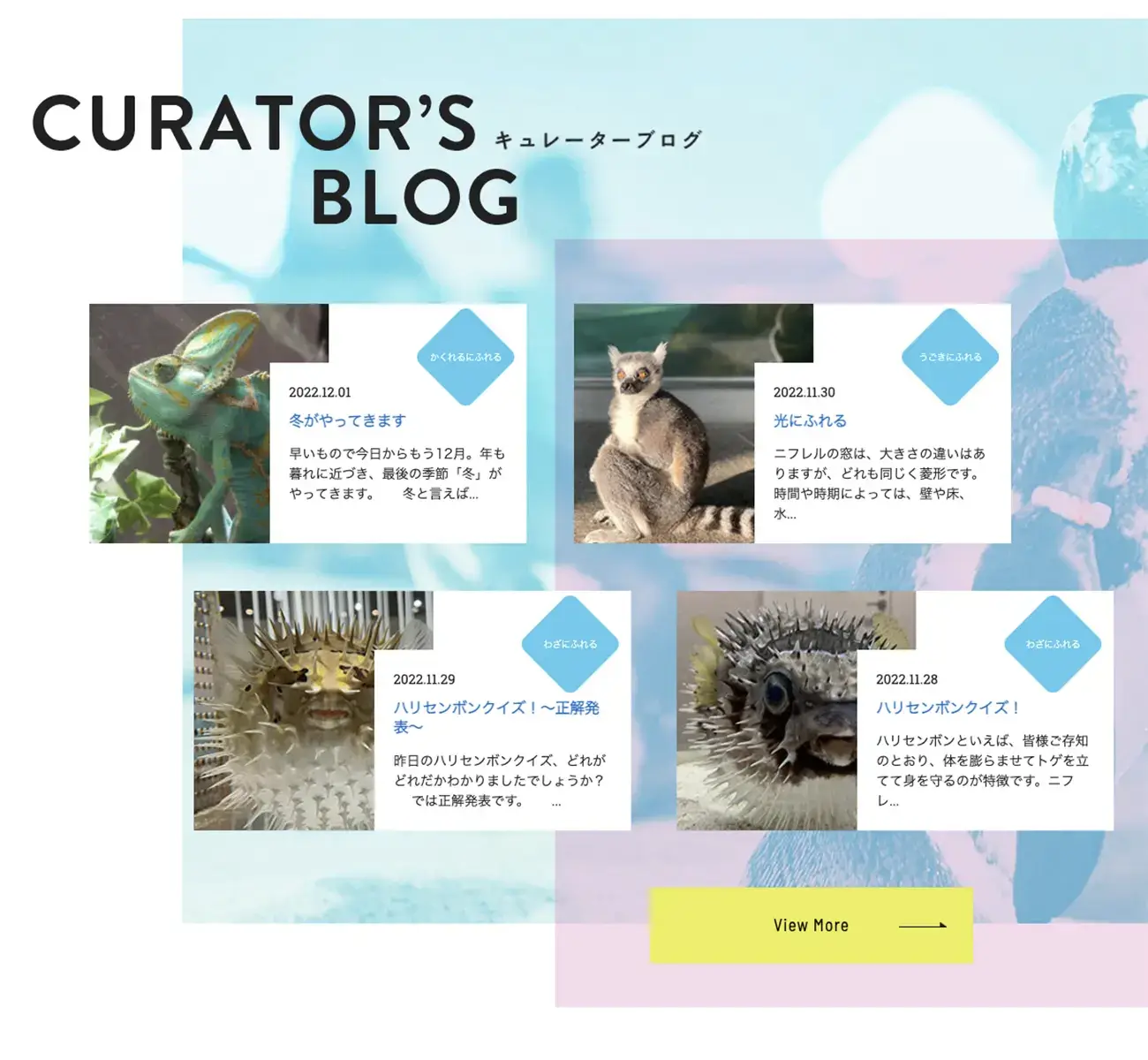 トップページより、「CURATOR'S BLOG」セクション。カードをずらして表示している